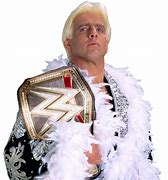 Image result for Ric Flair NWA