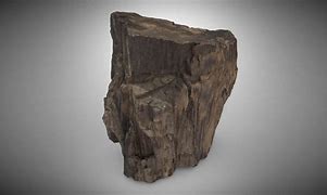 Image result for Petrified Wood Banner