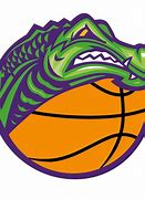 Image result for Gators Sports Logo Concepts