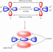 Image result for Eels of SP2 SP3 Carbon