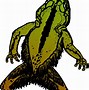 Image result for Dead Frog Drawing