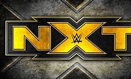 Image result for New WWE NXT Logo
