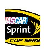 Image result for NASCAR Cup Series Championship Race