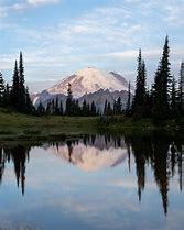 Image result for Mt. Rainier National Park