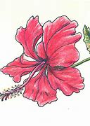 Image result for Beautiful Rose Flowers Drawings