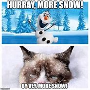 Image result for No Snow Meme