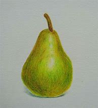 Image result for Still Life Drawing of Pear