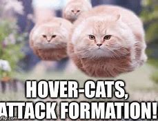 Image result for Hover Cat Meme