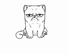 Image result for Best Grumpy Cat