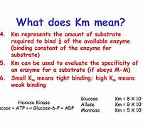 Image result for Km Enzyme