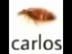 Image result for Carlos Cockroach Meme