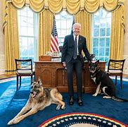 Image result for President Biden at White House