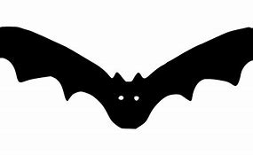 Image result for Cartoon Bat Being Cool