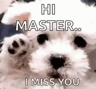 Image result for Miss You Meme Ironic