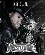 Image result for Undertaker vs John Cena Poster