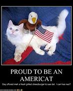 Image result for 4th of July Cat Meme