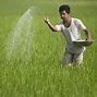 Image result for Indian Farmer On Tractor