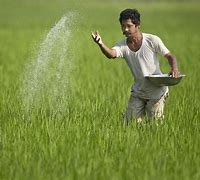 Image result for Village Farmer