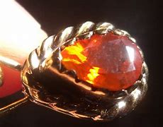 Image result for Mexican Cherry Opal