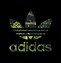 Image result for Adidas Images