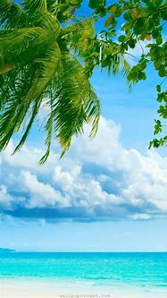Image result for Tropical Beach Phone Wallpaper