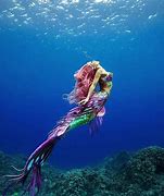 Image result for Real Life Mermaids and Unicorns