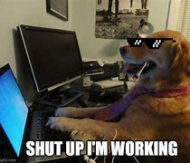 Image result for Dog at Computer Meme