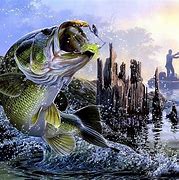 Image result for Bass Fishing Wallpaper Desktop