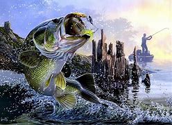Image result for 4K Fishing with Bass Jig Wallpapers