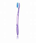 Image result for Wisdom Sensitive Toothbrush