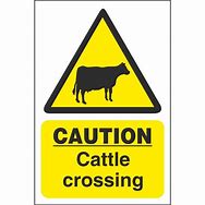Image result for Cattle Farm Signs