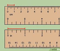 Image result for 41 Cm to Inches