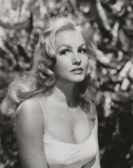 Image result for Julie Newmar