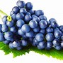 Image result for Black Label Grape