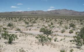 Image result for Calico Solar Energy Project
