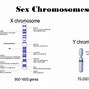 Image result for Pair of Alleles