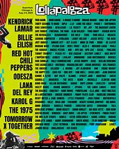 Image result for Lollapalooza 94