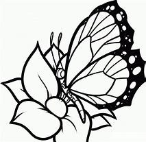 Image result for Butterfly Coloring Pages Printable Templates