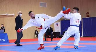 Image result for Karate Match