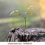 Image result for Grow Restart