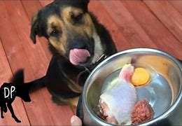 Image result for Homemade Dog Food Recipes for Pit Bulls