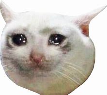 Image result for Crying Cat Meme PNG