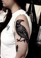 Image result for Black Raven Tattoo