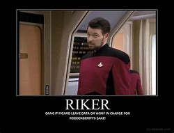 Image result for Star Trek Meme Commander Riker