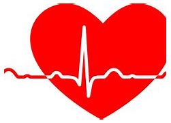 Image result for Medical Heart Clip Art