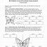 Image result for Butterfly Template Printable Free Cut Out