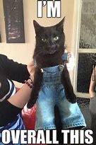 Image result for Clothing Memes