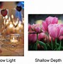 Image result for 50Mm Lens Photo Examples