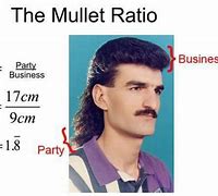 Image result for Mullet Haircut Meme