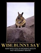 Image result for Funny Wise